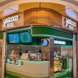 这个夏天被椰够够承包啦~🥥椰子控一起冲~