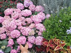 -人民公园(罗湖区)