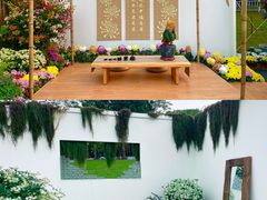 -莲花山公园