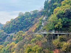 -少华山国家森林公园