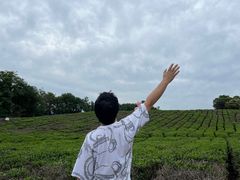 -南京市江宁方山