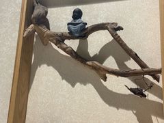 -聚味坊烤鸭店(草桥店)