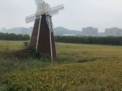 -长兴太湖图影湿地文化园