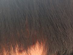 -自然之声助听器·呼吸机(公园路店)