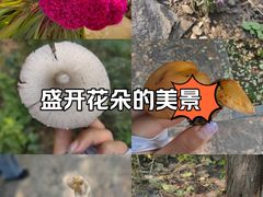 -百里山水画廊