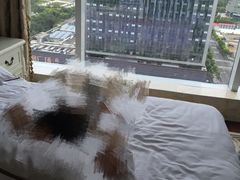 -南通金石国际大酒店