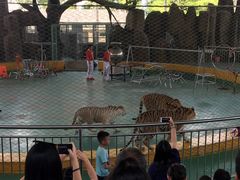 -泉州海丝野生动物世界