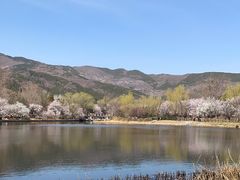 -国家植物园南园