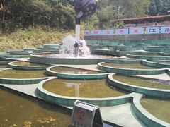 -浏阳石牛寨风景区