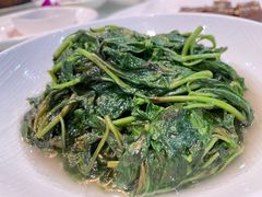 清炒枸杞藤-新聚丰菜馆(太监弄店)