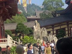 -上海东林寺(金山区)