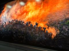 -罗红摄影艺术馆