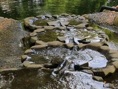 -成都市活水公园