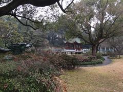 -申粤轩酒楼·三十年粤菜经典(丁香花园店)