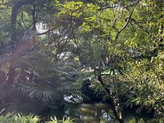 -绮园景区