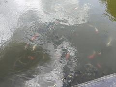 -天目湖涵田度假村