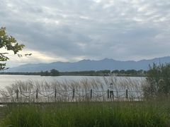 -野鸭湖国家湿地公园