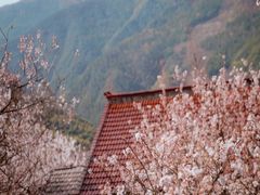-四明山国家森林公园