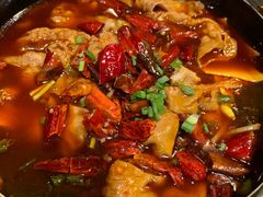 -金鼎轩(亚运村店)
