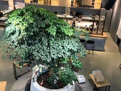 大堂-GOTLOT COFFEE&KITCHEN角落厨房NOOK店