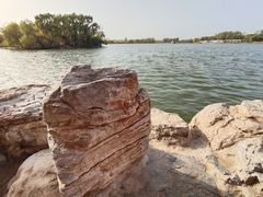 -大兴滨河森林公园