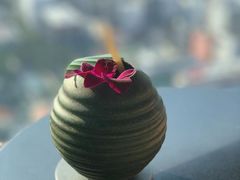 -新加坡瑞士史丹福酒店