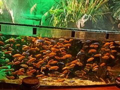 -太平洋海底世界