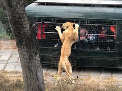 -深圳野生动物园