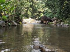 -广州市石门国家森林公园
