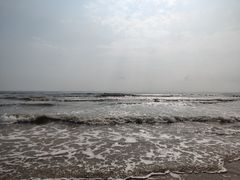 -日照海滨国家森林公园