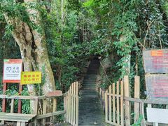 -海南霸王岭国家森林公园