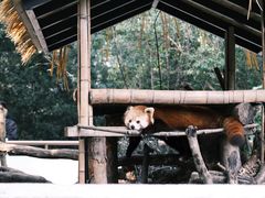 -杭州少年儿童公园