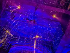 -Darling Queen·Mini·Live·House