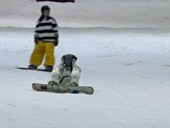 -绍兴启迪乔波冰雪世界