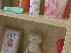 -芭比堂动物医院·心脏科·老年急重症·夜诊·吉雅分院