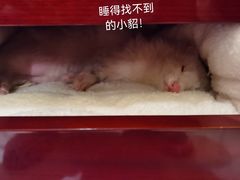 -广州锦绣香江度假别墅