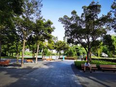 -南翔镇银翔湖公园