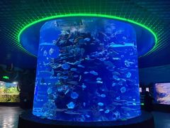 -多彩贵州城极地海洋世界