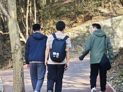 -紫金山天文台