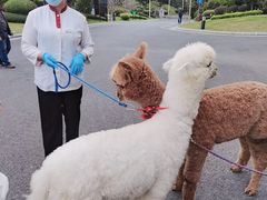 -南宁荔园维景国际酒店·荔园中餐厅