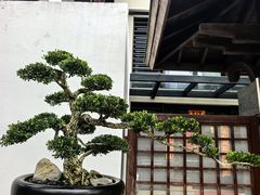 -海悦山庄酒店-花园泳池