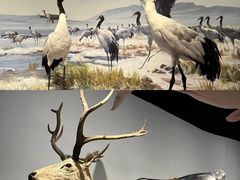 -中国湿地博物馆