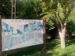 -青藏高原野生动物园