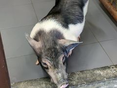 -三肥两瘦烤肉(鹿城店)