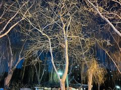 -元大都城垣遗址公园