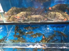 -盒马鲜生(曜一城店)