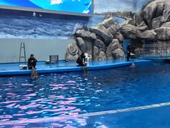 -福州罗源湾海洋世界旅游区