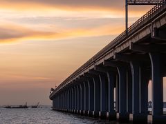 -宝安西湾红树林湿地公园