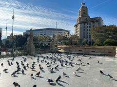 -加泰罗尼亚广场