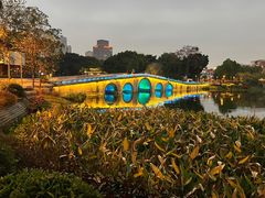 -荔湾湖公园